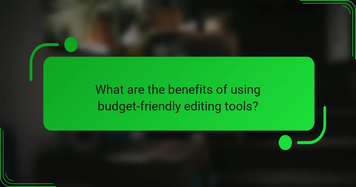 What are the benefits of using budget-friendly editing tools?