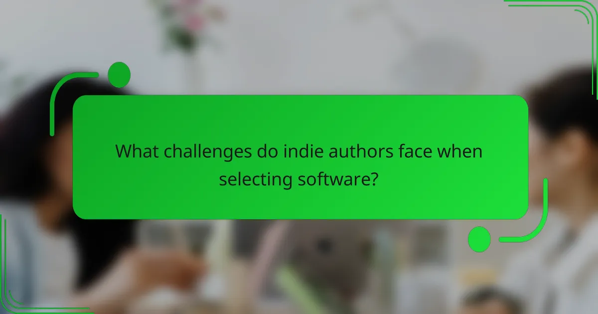 What challenges do indie authors face when selecting software?