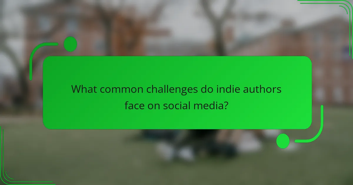 What common challenges do indie authors face on social media?